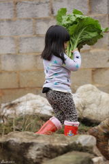 组图：爸爸去哪儿第六期海量图 萌宝帅爸卖菜忙