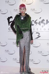 组图：众星出席香港皮草设计比赛争奇斗艳