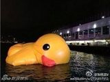 组图：香港大黄鸭漏气无奈卧倒趴水中