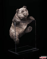 组图：黄晓明周迅阿信曝趣味写真 为大熊猫筹款