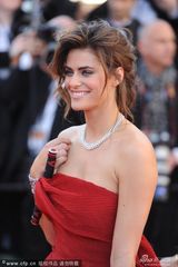 组图：名模戛纳助阵红毯 胸前别铁棍标新立异