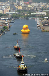 组图：小黄鸭充气萌翻路人 从“荷包蛋”变成鸭