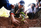 高清图：李连杰旱区栽种咖啡苗 为云南大地填沃土