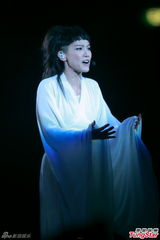 组图：何韵诗开唱透视裙秀腿惨走光