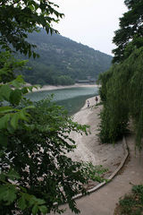 聚集美丽山东--枣庄峄城榴园青榴令人惊叹