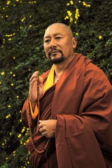 高清组图：《金凤花开》剧照之藏族风情篇