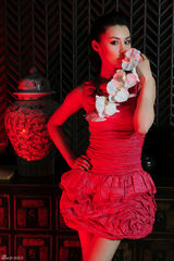 高清图：韩丹彤大片贺新春展东方女性柔美