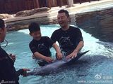 组图：郭涛石头与海豚亲密互动 亲吻有爱