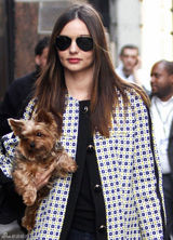 高清组图：超模米兰达-可儿纽约街拍怀抱宠物狗
