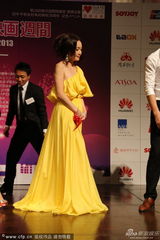 组图：《警察日记》剧组亮相 温碧霞助阵