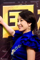 组图：秦海璐中国风造型亮相 获颁风尚跨界艺人奖