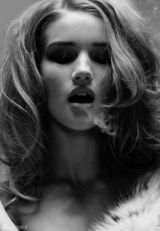 高清组图：新任变形金刚女郎惠特莉165张美图