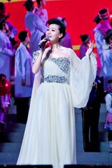 高清组图：双拥晚会 谭晶献唱《心心相印》