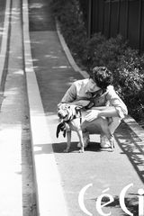 组图：票选十二星座韩国花美男