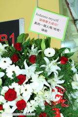 组图：蔡依林7项绝技平安夜开唱 大劈腿撼小巨蛋