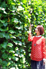 组图：韩晓暖春清新写真 红色薄纱随性惬意