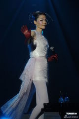 组图：王菲香港演唱会开场 刘嘉玲李亚鹏现身支持