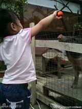 幻灯图：小S玩微博不亦乐乎 大秀宝贝女儿可爱照