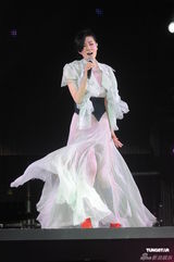 组图：王菲香港演唱会开场 刘嘉玲李亚鹏现身支持