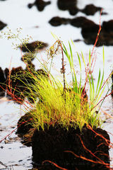 高清：王雨《情系北大荒》中当逃兵 玩文雅险丧命