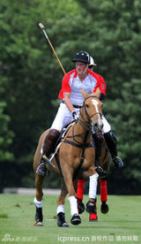 组图：哈里王子办慈善马球赛 与查理兹-塞隆热聊 