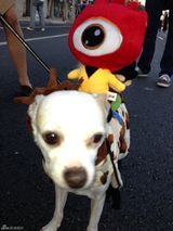 组图：美国人民欢度万圣节 僵尸裸男纷纷上阵