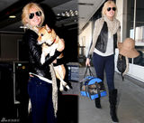 明星爱街拍第19期：女星丝巾VS男星领结搭配