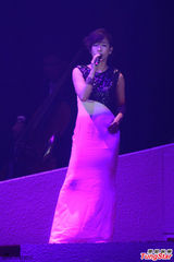 组图：梅艳芳逝世十周年 圈中好友登台悼念