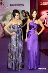 幻灯：众港姐为“港姐选举”造势 刘倩婷旗袍抢风头