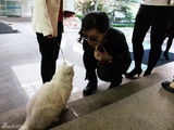 组图：张静初爱心生活照曝光 与猫咪亲密接触