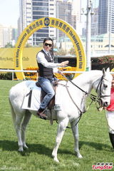 组图：甄子丹骑马潇洒 爱驹或取名“爱诗诗”