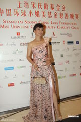 组图：靳羽西车永莉吕燕等出席慈善晚宴