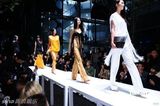 组图：阿Sa(蔡卓妍)古天乐现身北京 观赏时装发布会