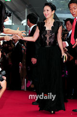 组图：章子怡张东健盛装走红毯 张柏芝粉裙美艳