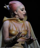 组图：LadyGaga巡演骚味浓 穿肉片装与猛男肉搏