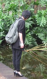 高清：周迅非洲探访联合国总部 环保外交走出国门