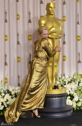 高清图：奥斯卡后台影后梅丽尔-斯特里普自信洋溢