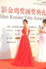 组图：主持人经纬红色露背裙性感亮相金鸡红毯