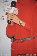 组图：章子怡林志玲黄圣依争艳 文章夫妇恩爱