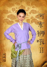 高清图：《河东狮吼2》张柏芝小沈阳造型海报曝光