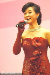 组图：宋祖英放歌三八妇女节招待会 红裙端庄大气