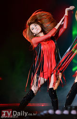 组图：众韩流明星齐聚《2012韩流DREAM演唱会》