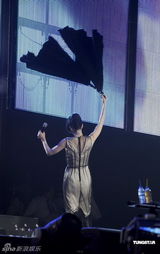 组图：王菲演唱会众星捧场 带众人为灾民祈福