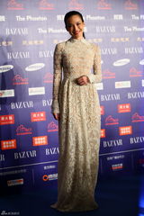 组图：群星亮相BAZAAR明星慈善夜红毯星光熠熠