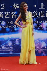 组图：范玮琪嫩黄长裙亮相红毯气质优雅
