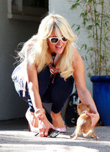 组图：帕丽斯-希尔顿怀揣两爱犬心花怒放玩得欢 