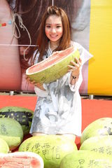 组图：陈芳语首辑庆功签唱 自曝狂爱贺军翔