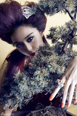 高清组图：范冰冰大走欧洲宫廷风 色彩浓丽炫人眼目