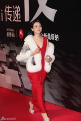组图：2012新浪微博之夜红毯-颜丹晨