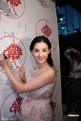 组图：纽约中国电影节开幕 张柏芝吴彦祖显露光芒 